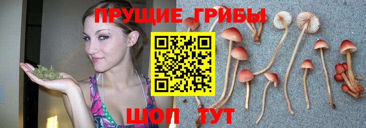 Псилоцибиновые грибы мухоморы Сургут
