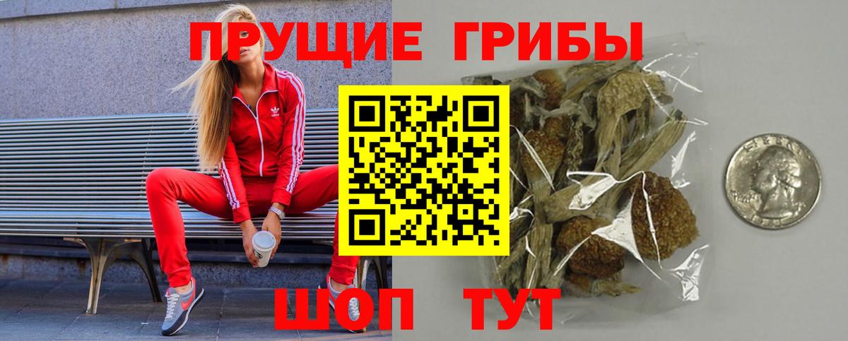 Псилоцибиновые грибы GOLDEN TEACHER  Вход с VPN  Сургут  Псилоцибиновые грибы ЛСД 